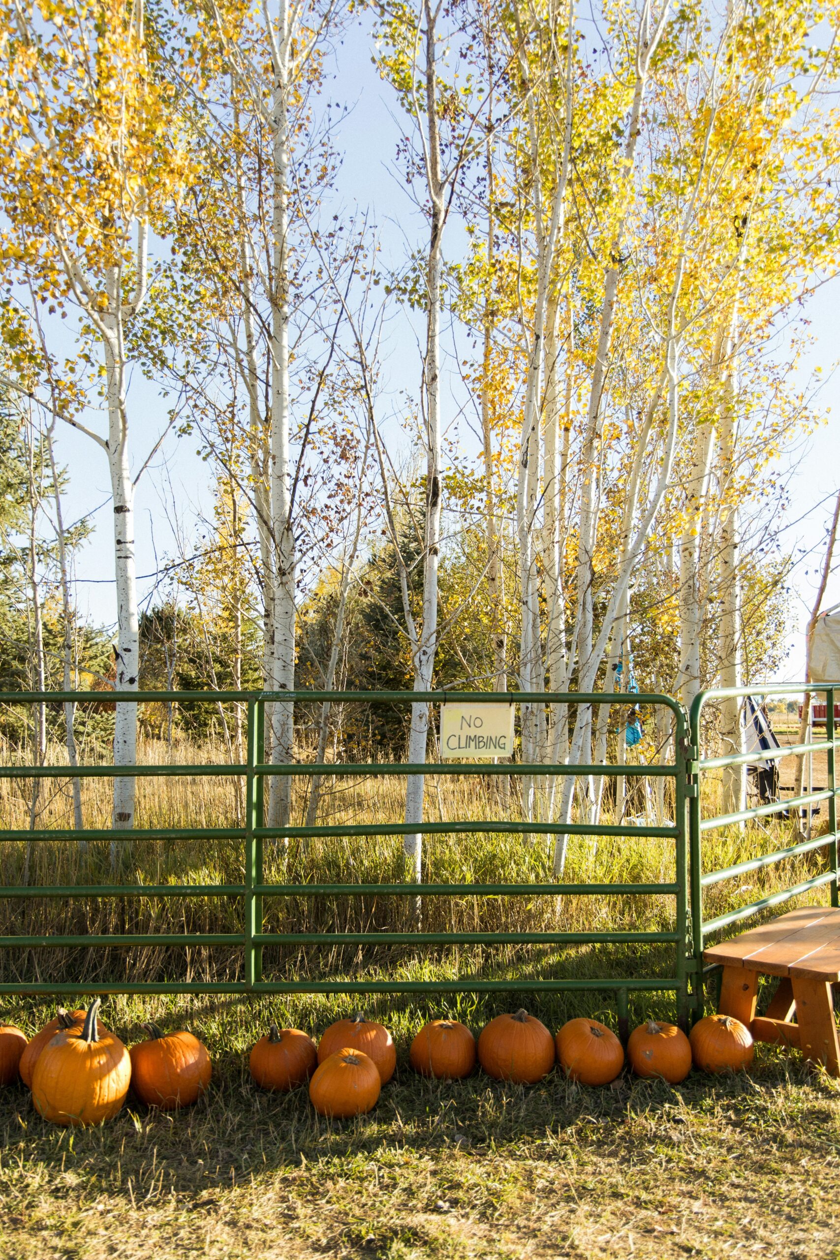 Beitragsbild von Hallo Welt